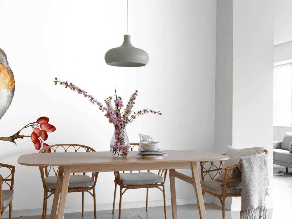 Vogeltje op een takje met een witte achtergrond