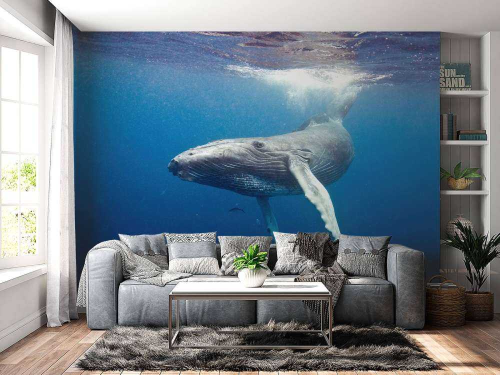 Bultrug walvis