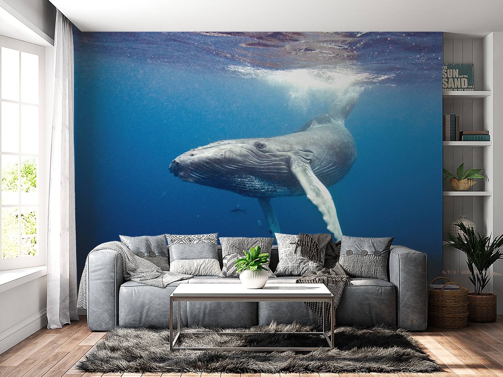 Bultrug walvis