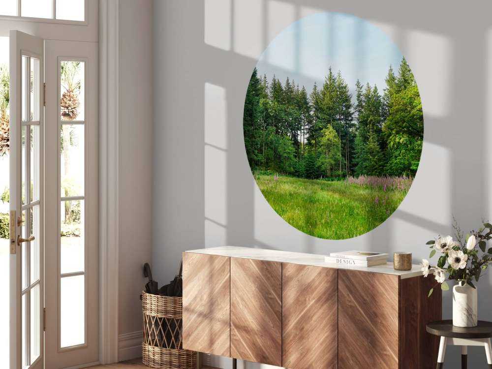 Verlaten plek in het bos