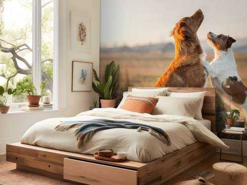 Omhoog kijkende honden