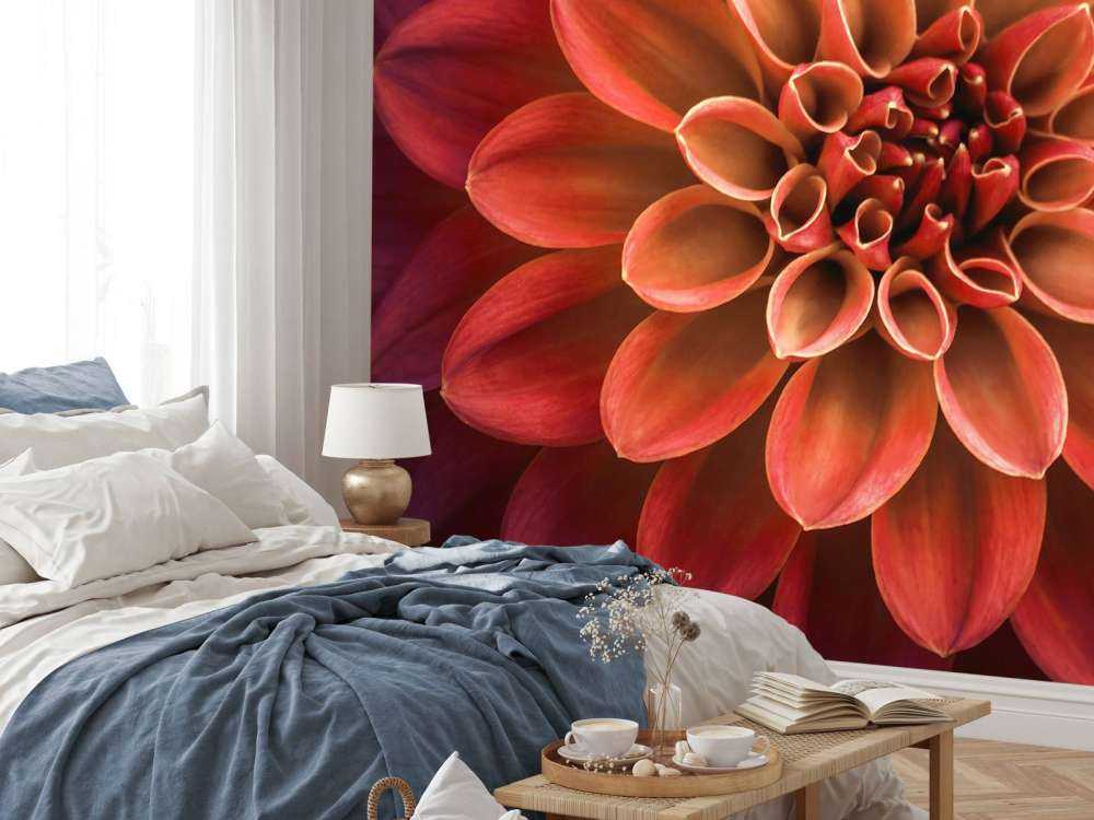Gekleurde dahlia
