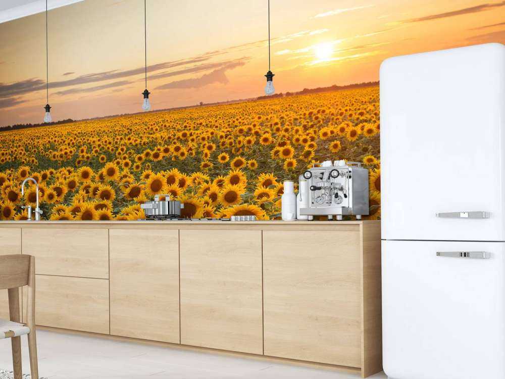 Zonnebloemen veld met zonsondergang