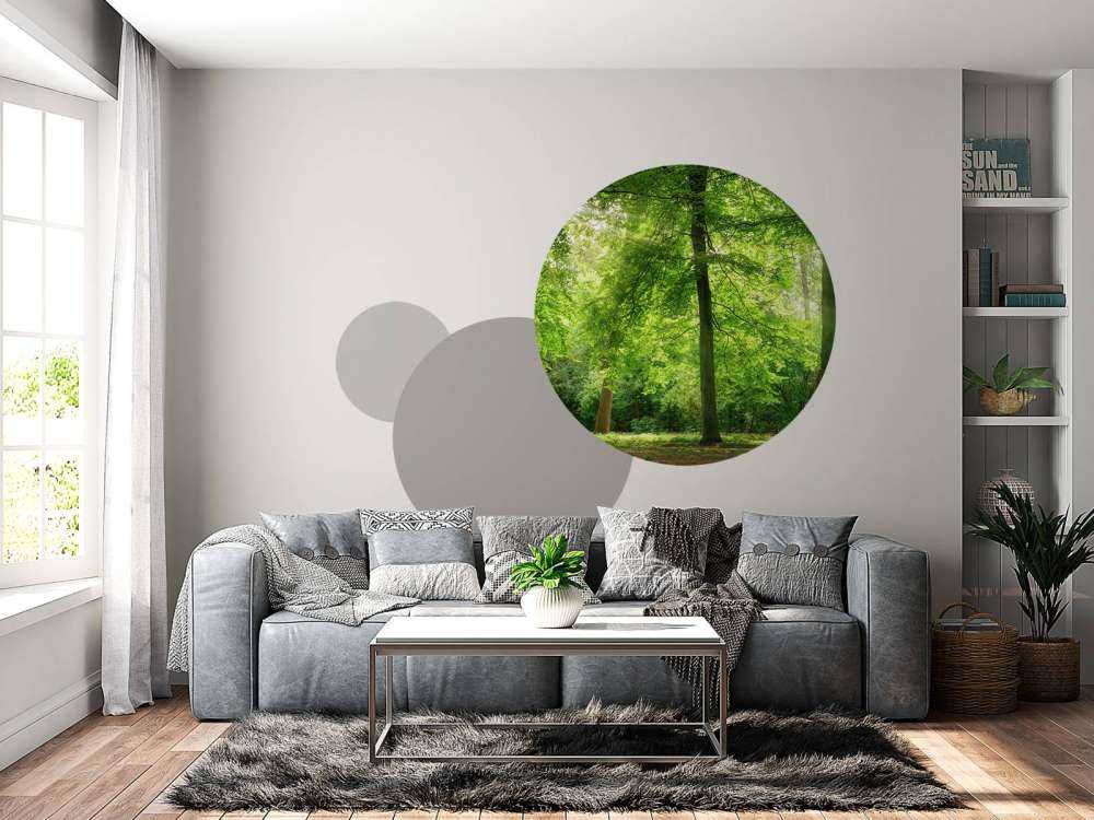 Bos met lichte nevel