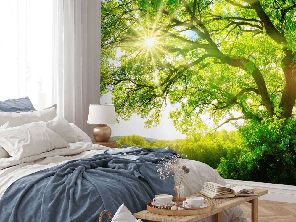 Boom met zonnestralen