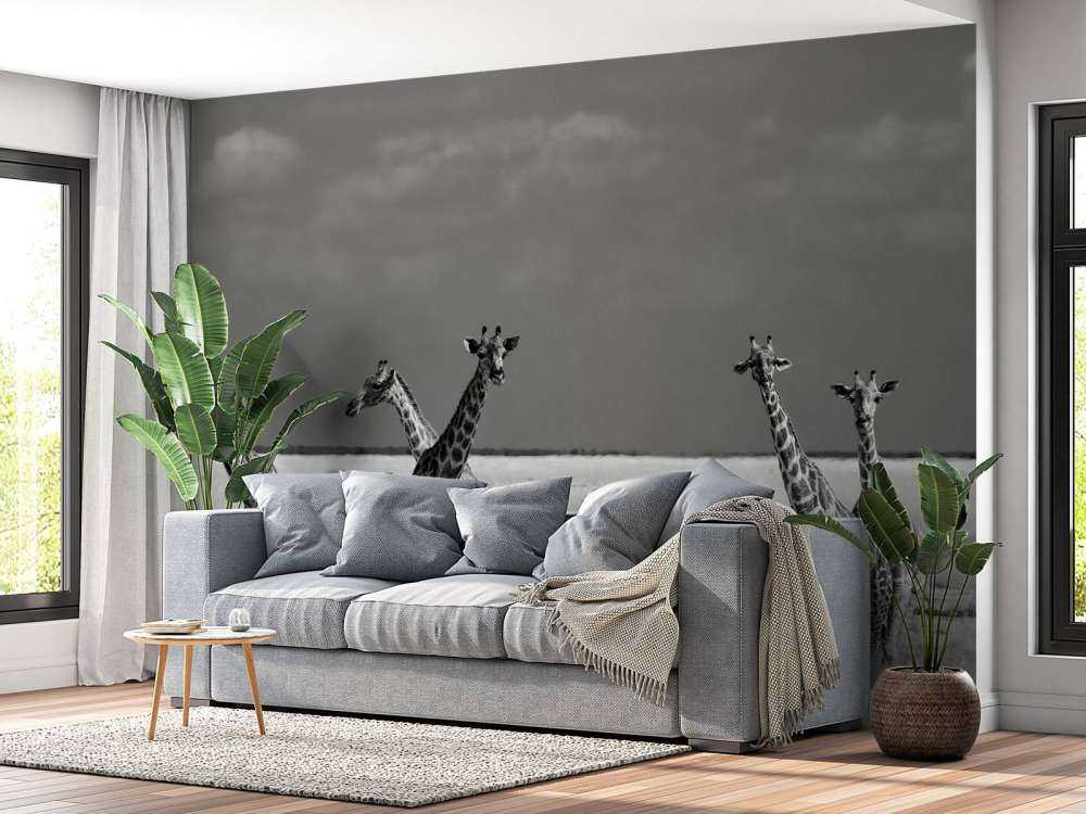 Look Girl Strange Animals