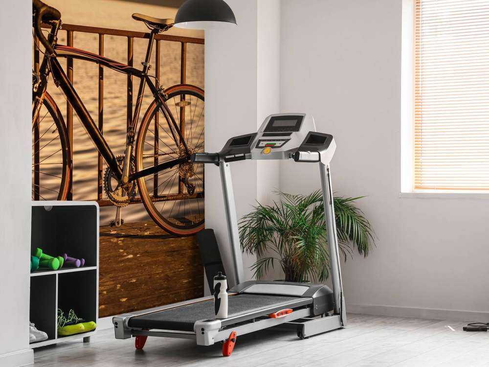 Racefiets aan het water