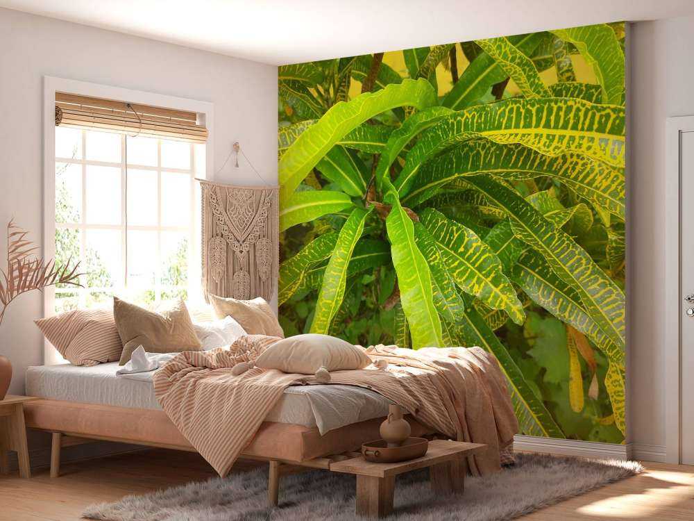Geel-groene plant