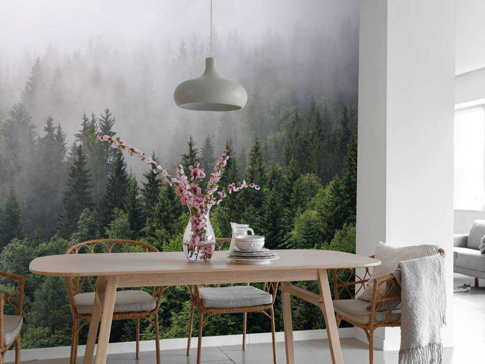 Bovenaanzicht van een mistig bos