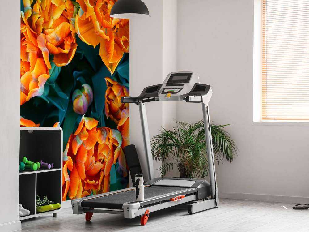 Close-up oranje tulpen