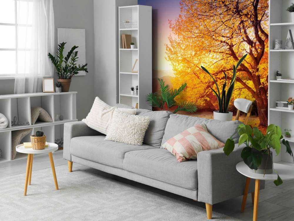 Prachtige beukenboom in de herfst