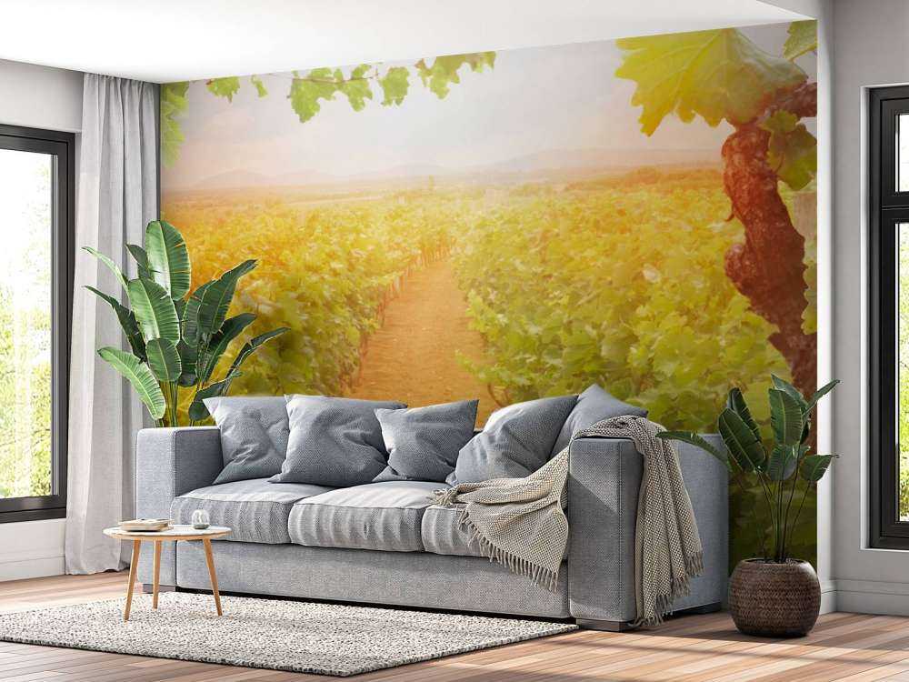 Wijngaard met druiven op de voorgrond