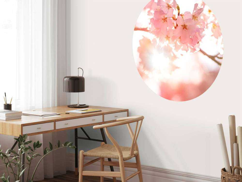 Lichte roze bloesems