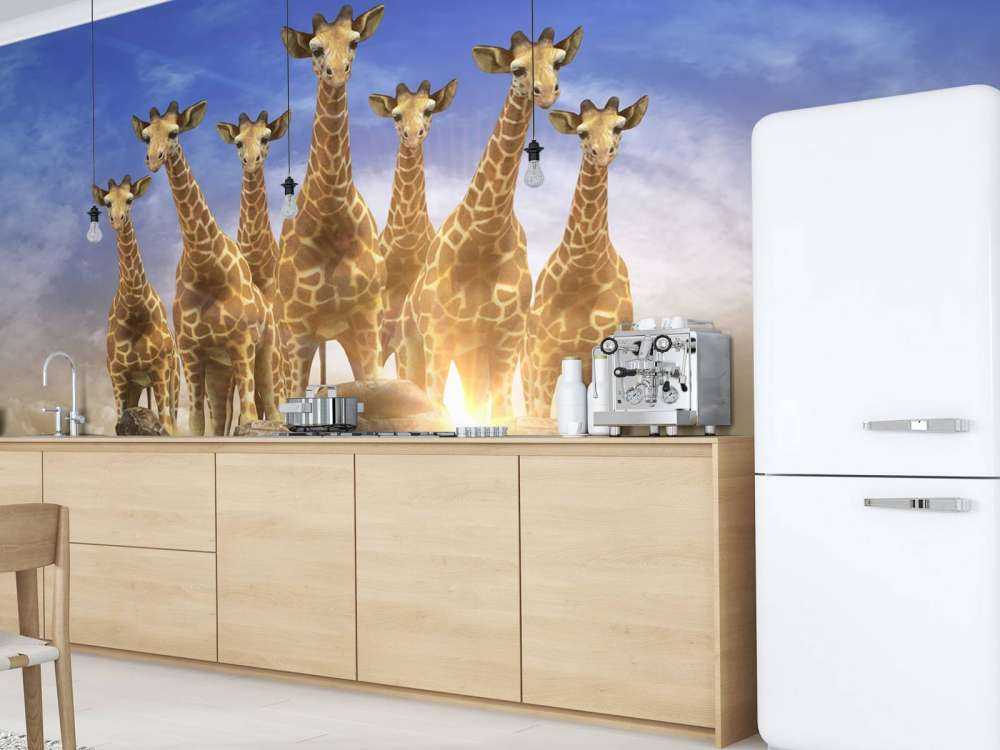 Giraffen bij zonsondergang