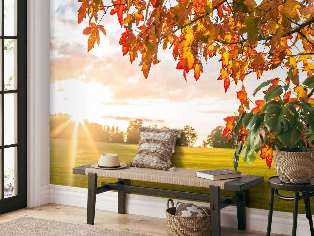 Herfstboom bij zonsondergang