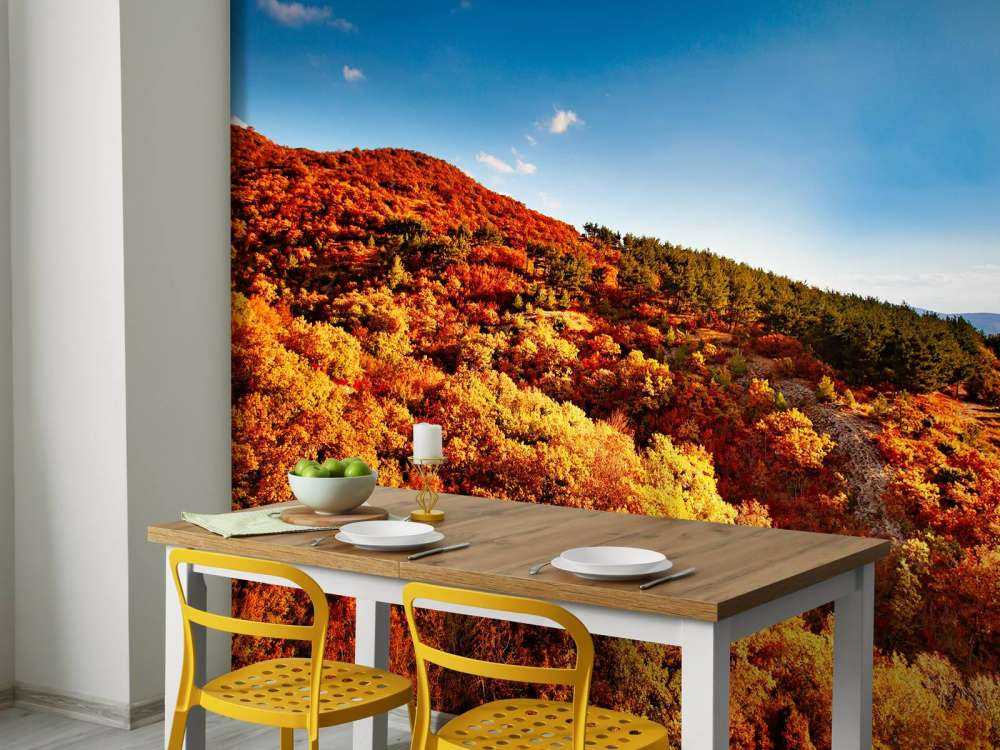 Landschap met gekleurde bomen