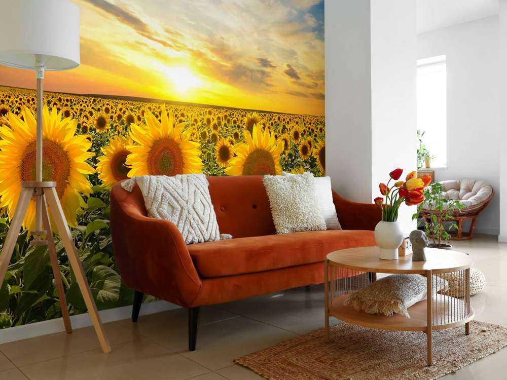 Zonnebloemen bij zonsopkomst