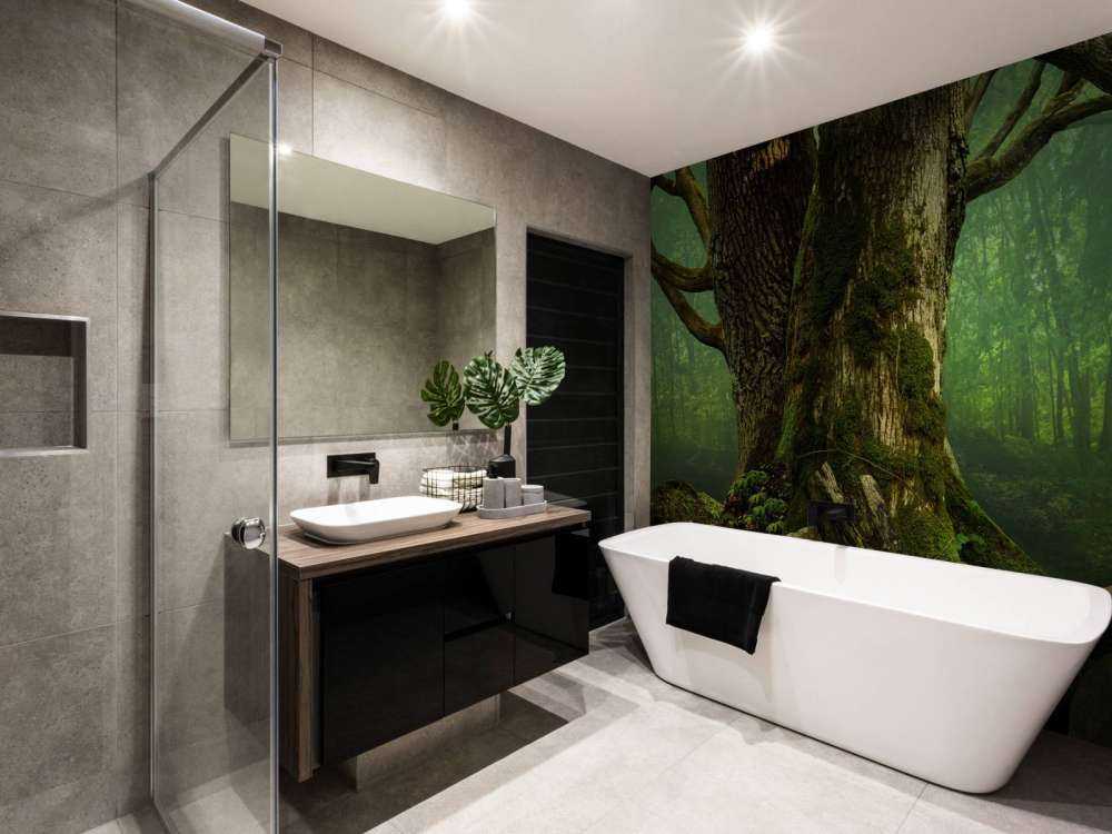 Oude Boom met Rotsen