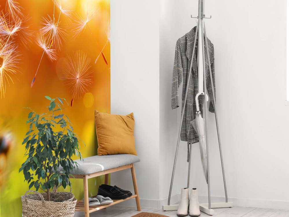 Paardebloemen onder rood licht