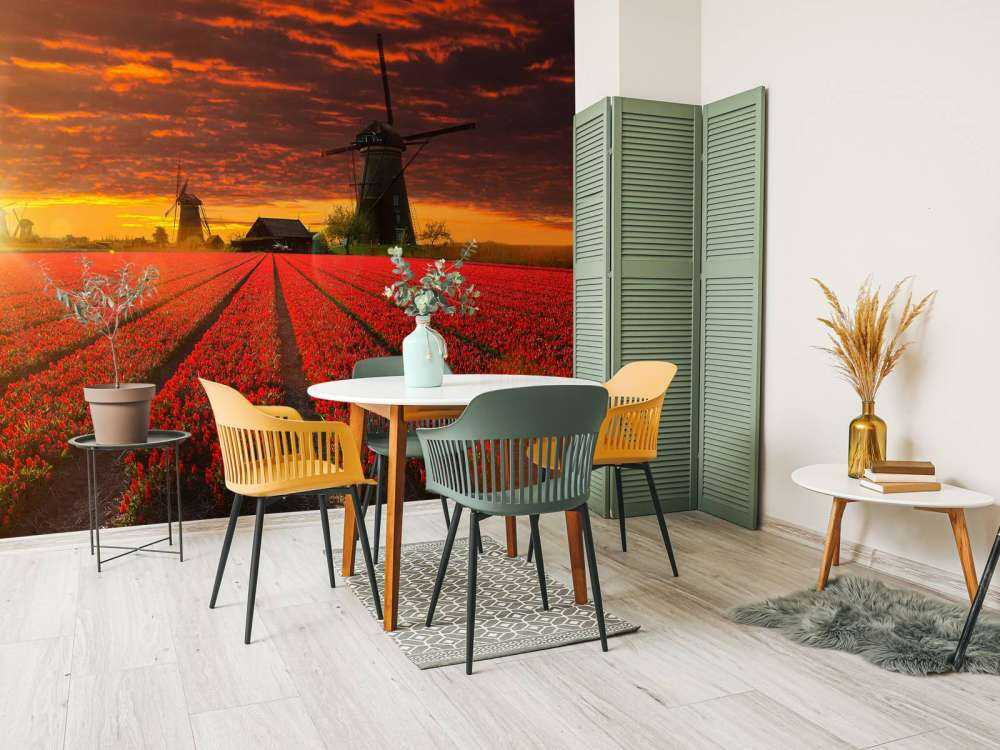 Hollands tulpenveld onder een rode lucht