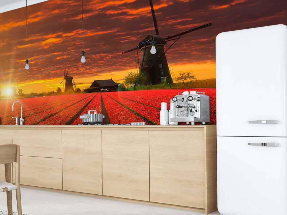 Hollands tulpenveld onder een rode lucht