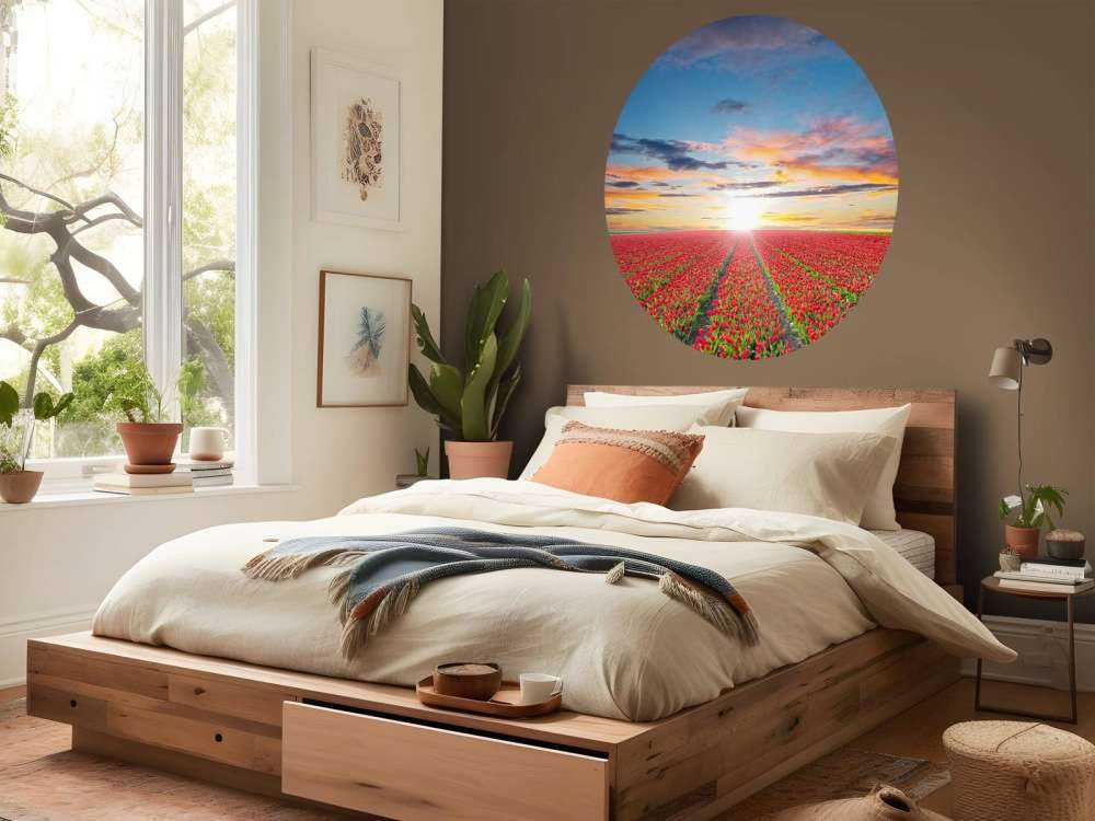 Rode tulpenveld bij zonsopkomst