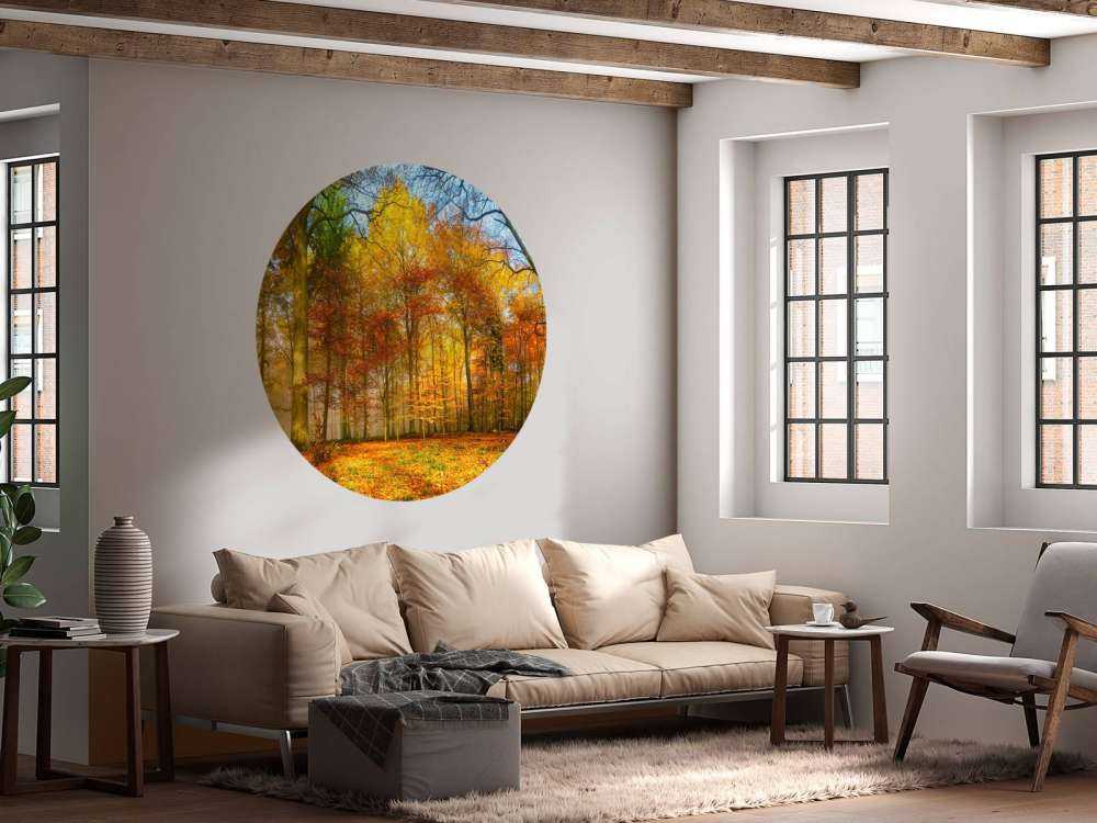 Kleurrijk bospanorama