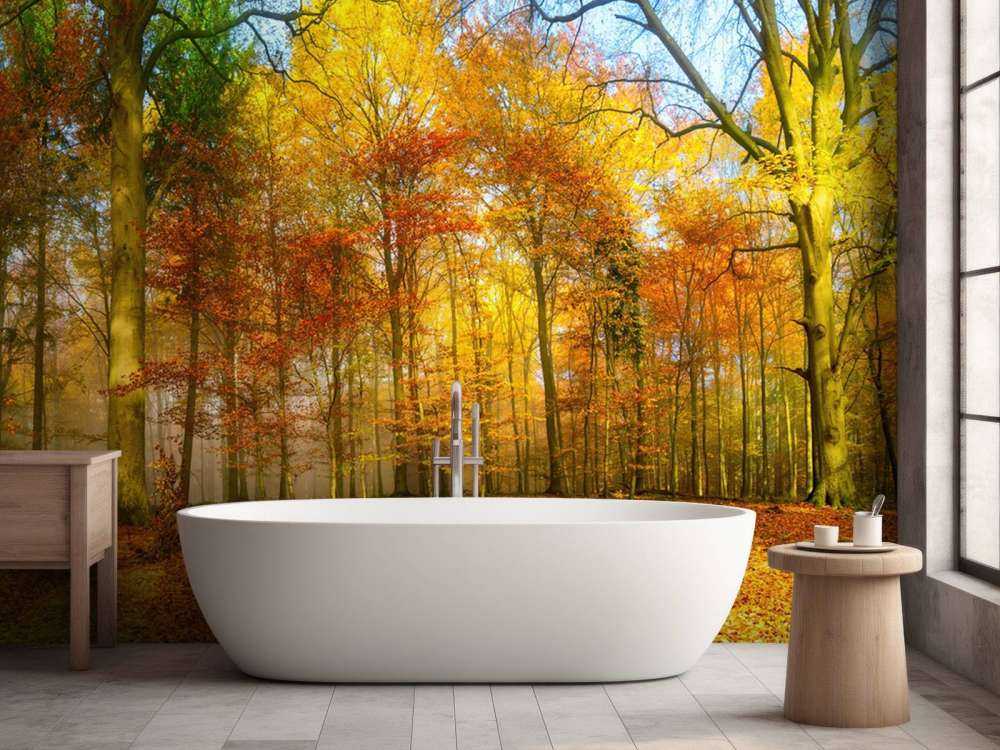 Kleurrijk bospanorama