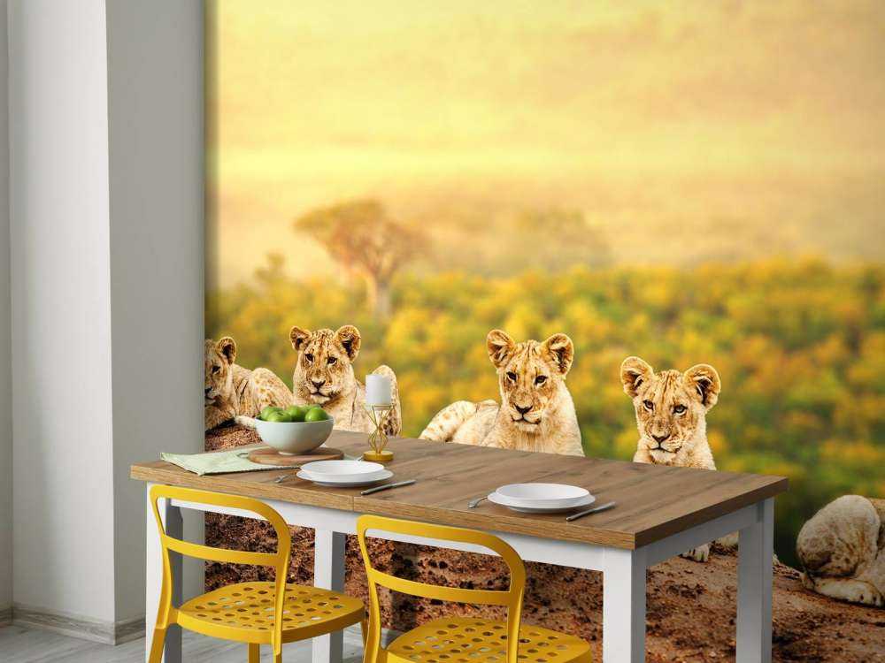 Leeuwenwelpen wachten op hun moeder