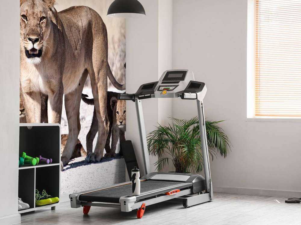 Leeuwin met haar welpen