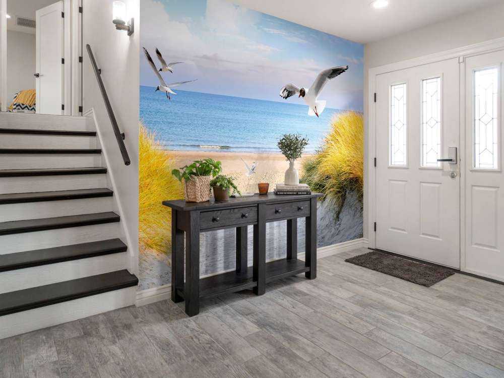 Meeuwen langs de Baltische kust