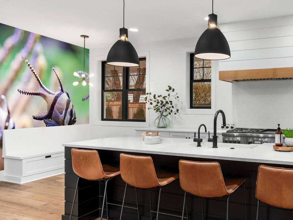 Banggai kardinaalvissen