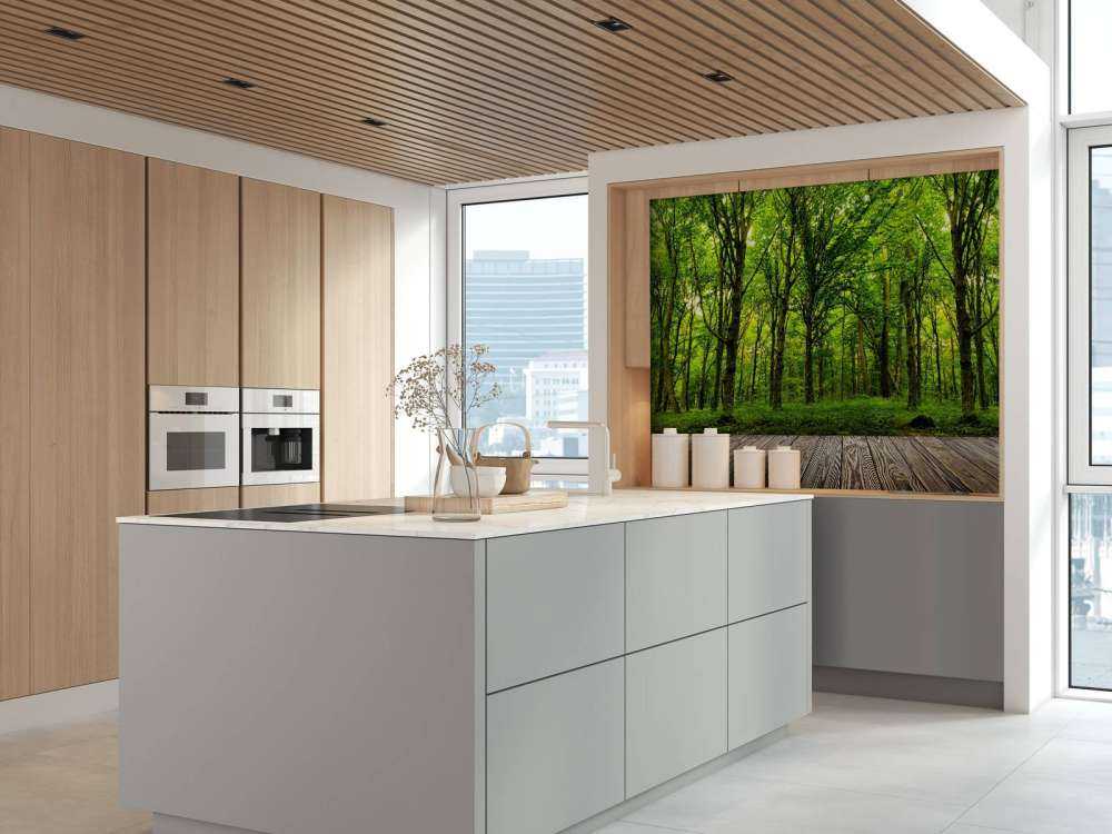 Zomers bos met doorkomend daglicht