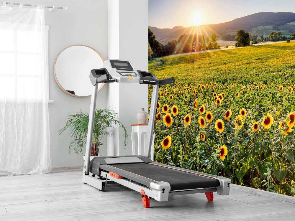 Berglandschap met zonnebloemen