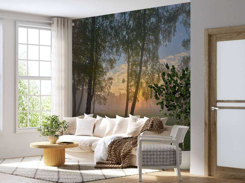 Zonsopgang bij de berken