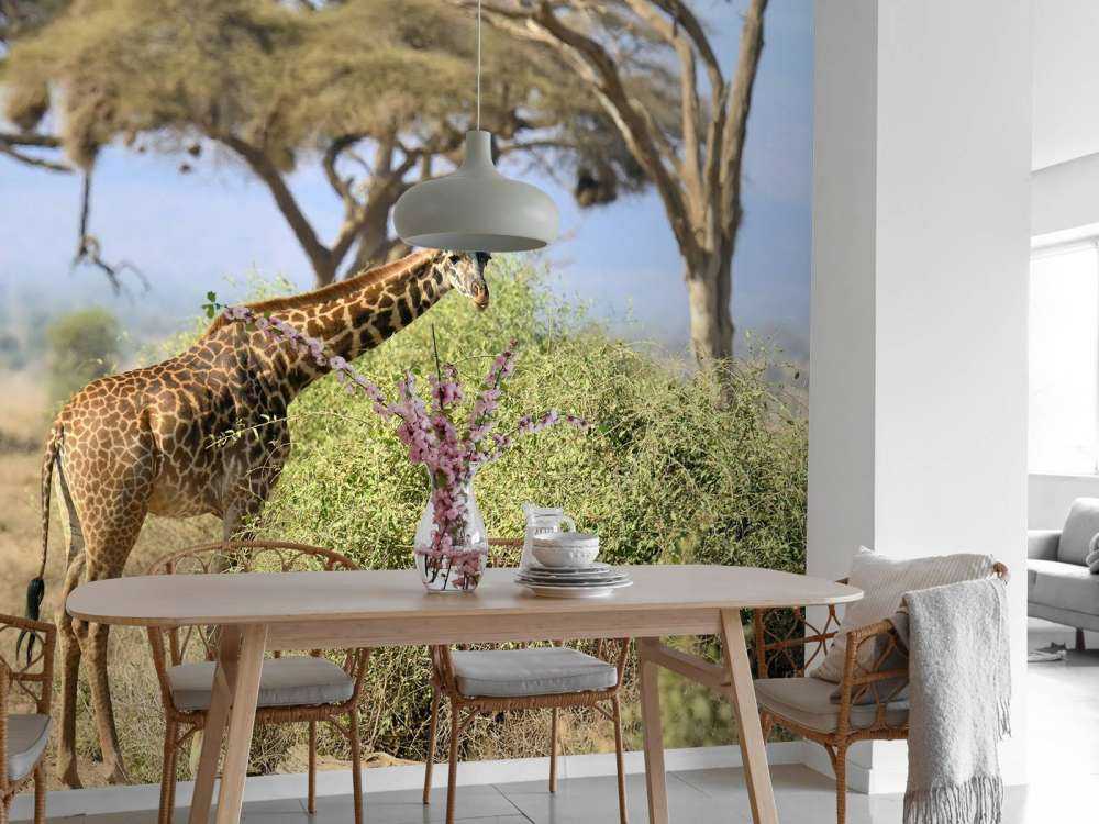 Schattige Giraffe tussen struiken