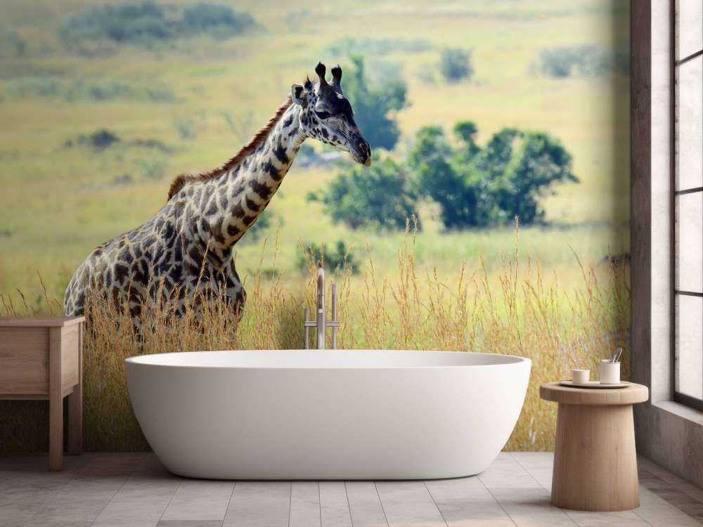 Lichte Giraffe in de natuur