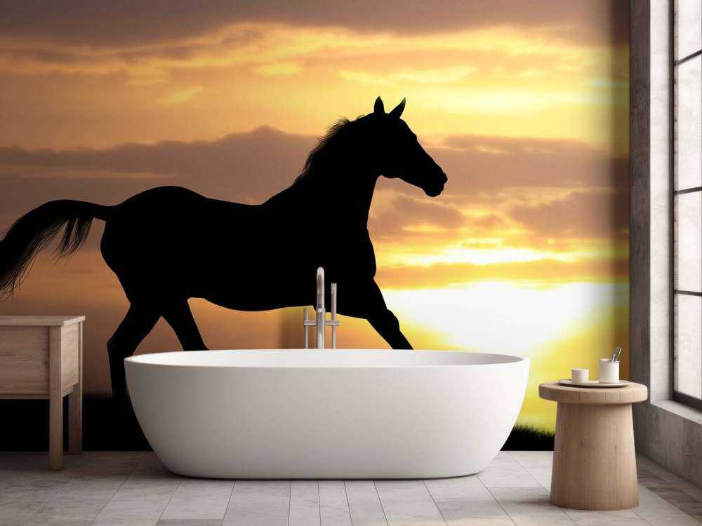 Paard tijdens Zonsondergang