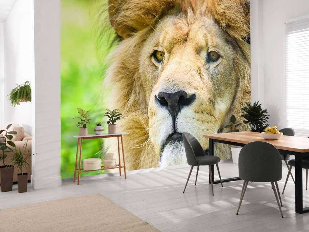 Gezicht van een Mooie Leeuw