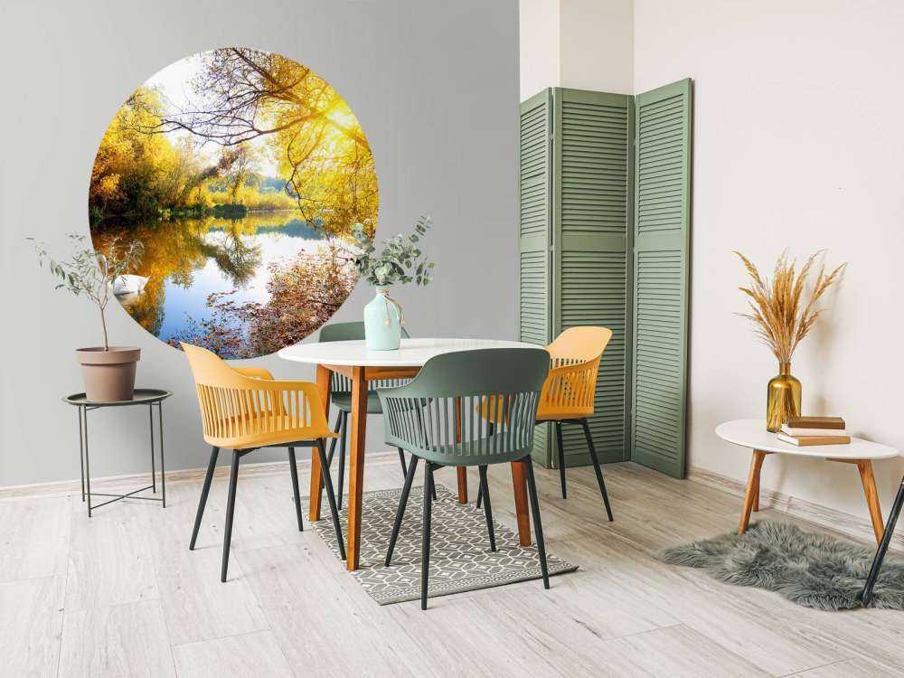 Witte Zwaan op Rivier met herfst