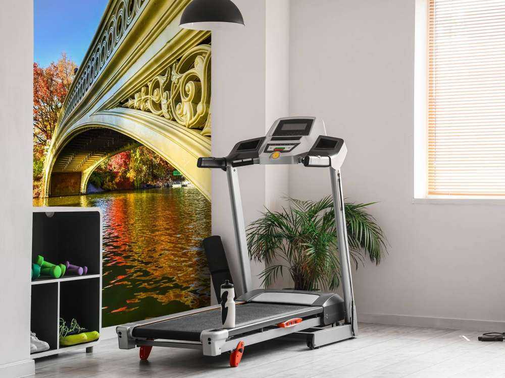 De Bow Bridge in Central Park