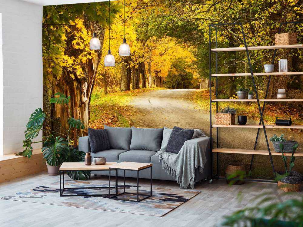 Weg met Bomen in de Herfst