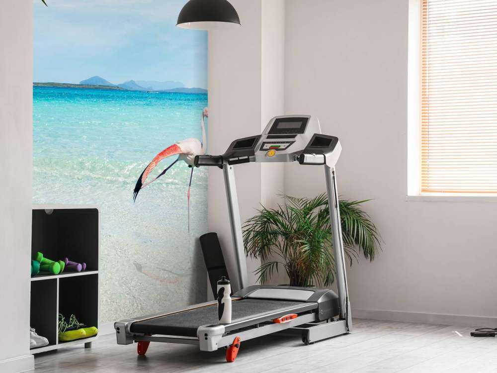 Flamingo op Tropisch Strand