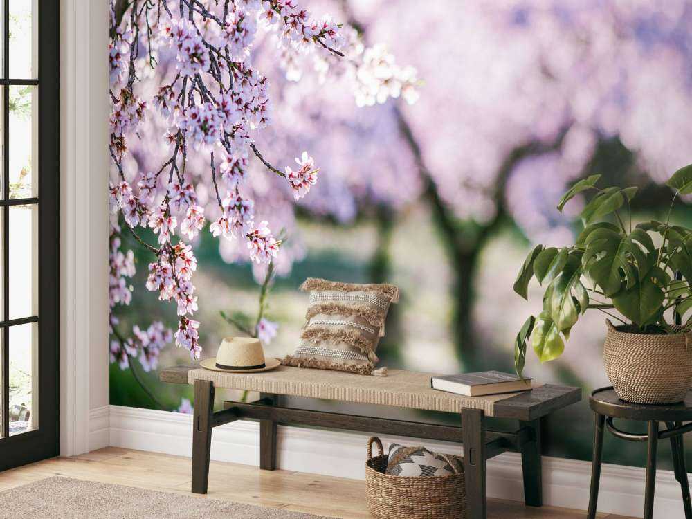 Bloeiende Amandelbomen