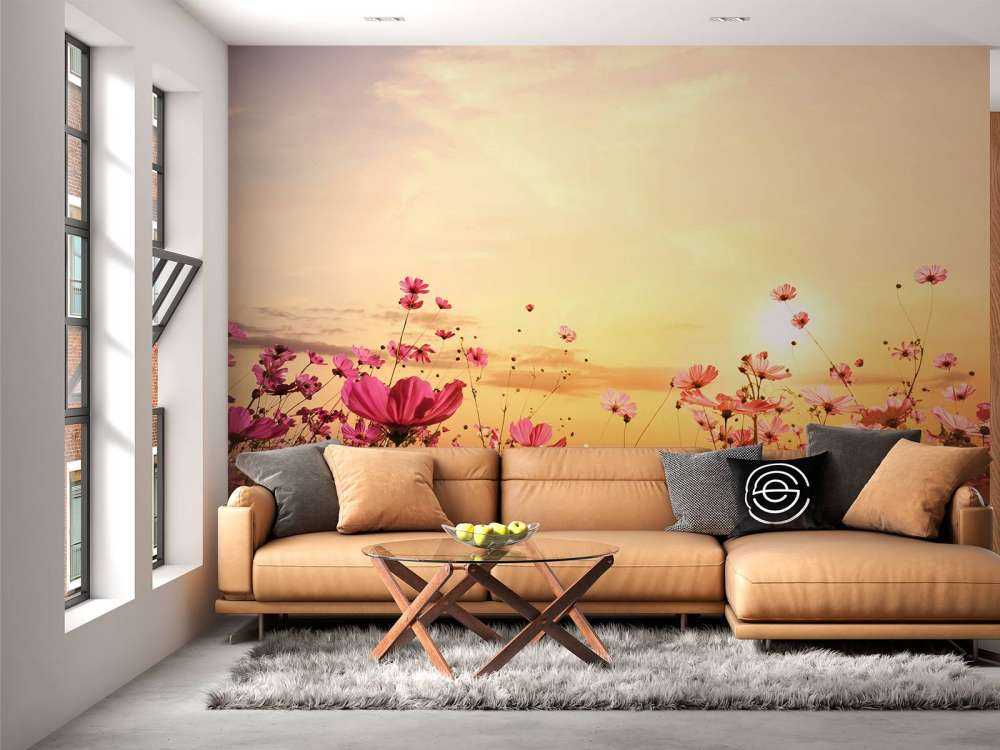 Kosmos Bloem tijdens Zonsondergang