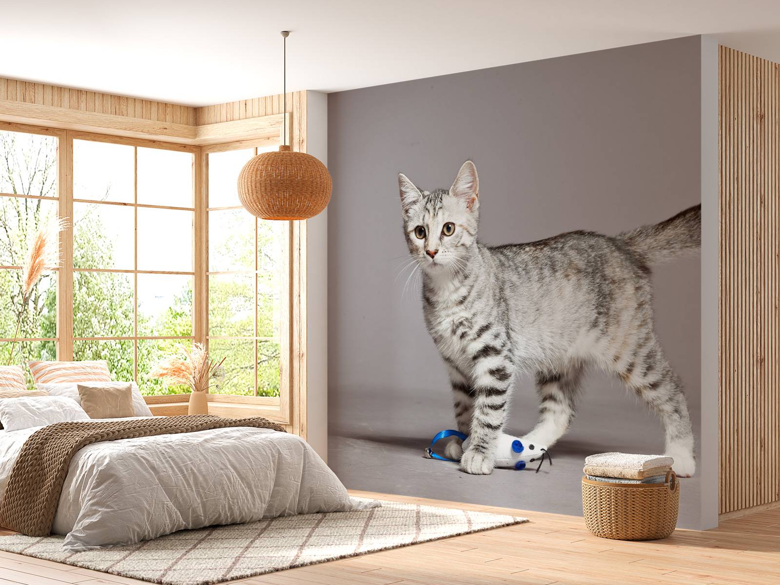 Schattig lichtkleurig katje