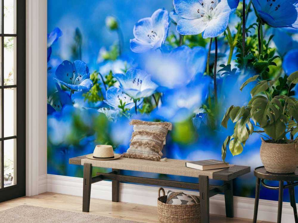 Blauw witte Bosliefjes