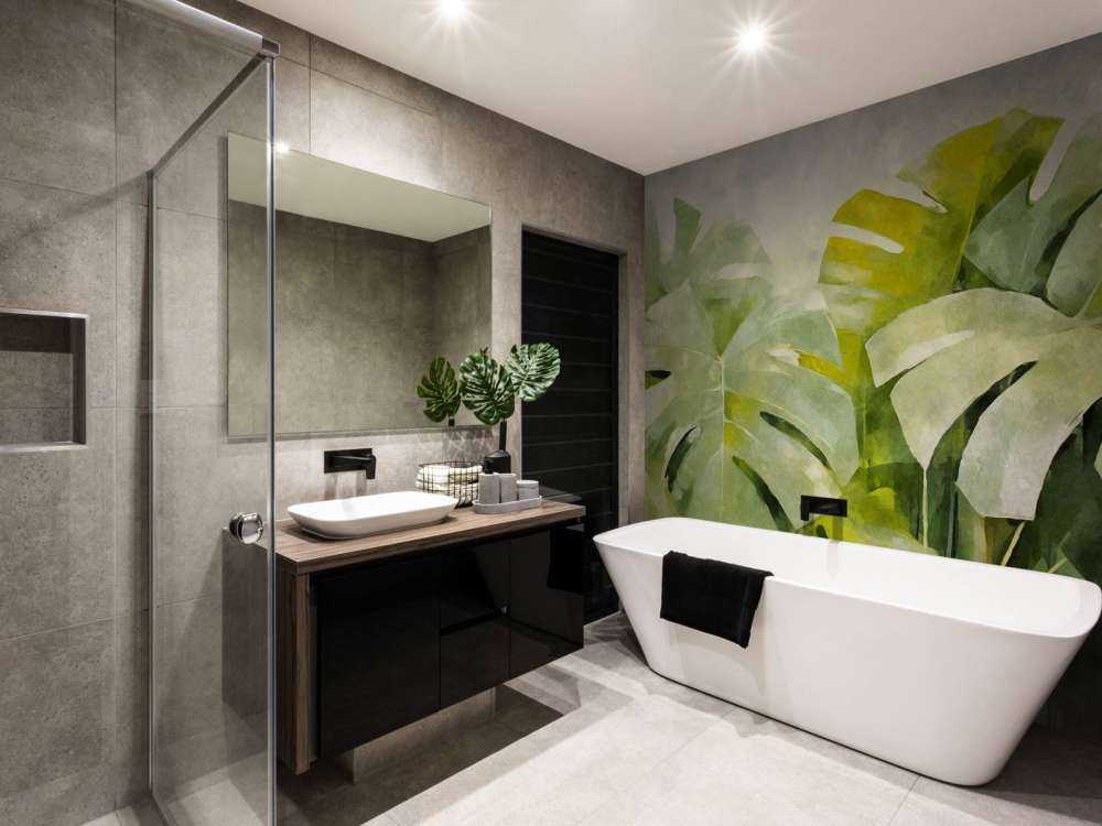 Lush green monstrea jungle vibes