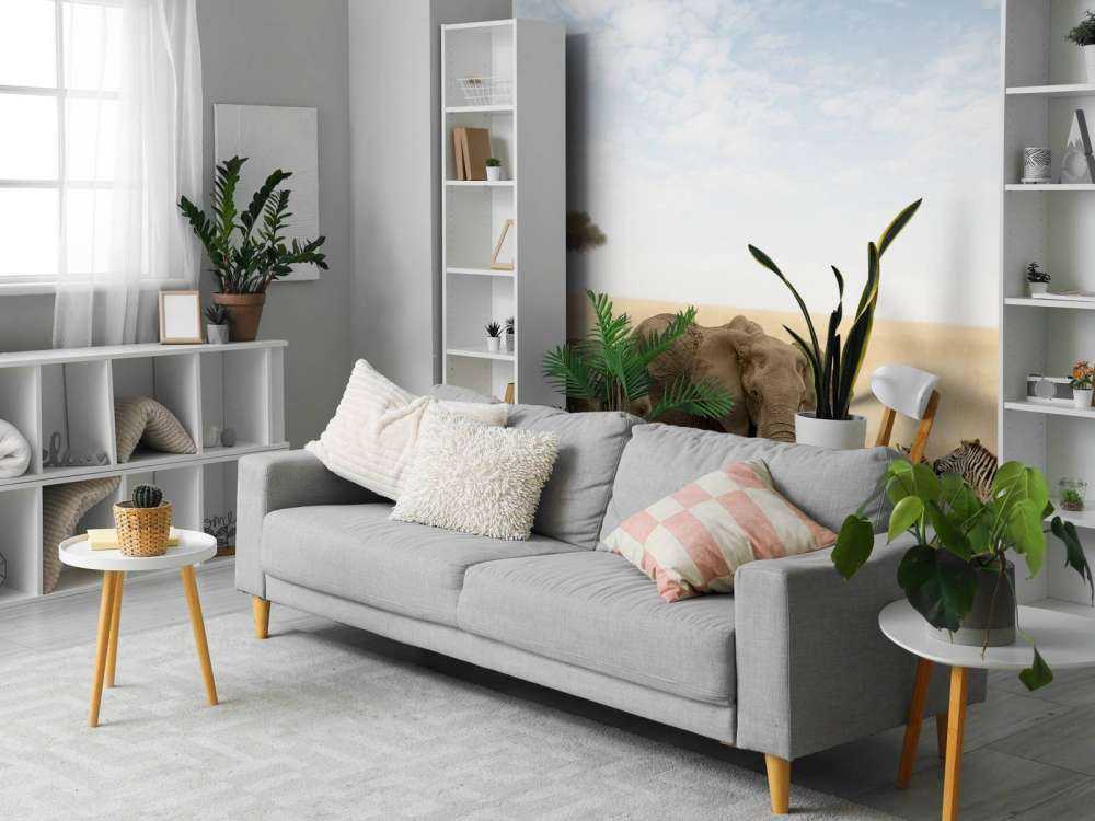 Olifanten en zebra's