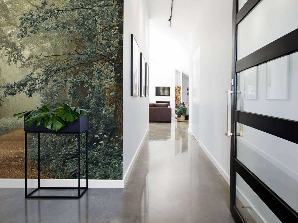 Pad door bos met mist